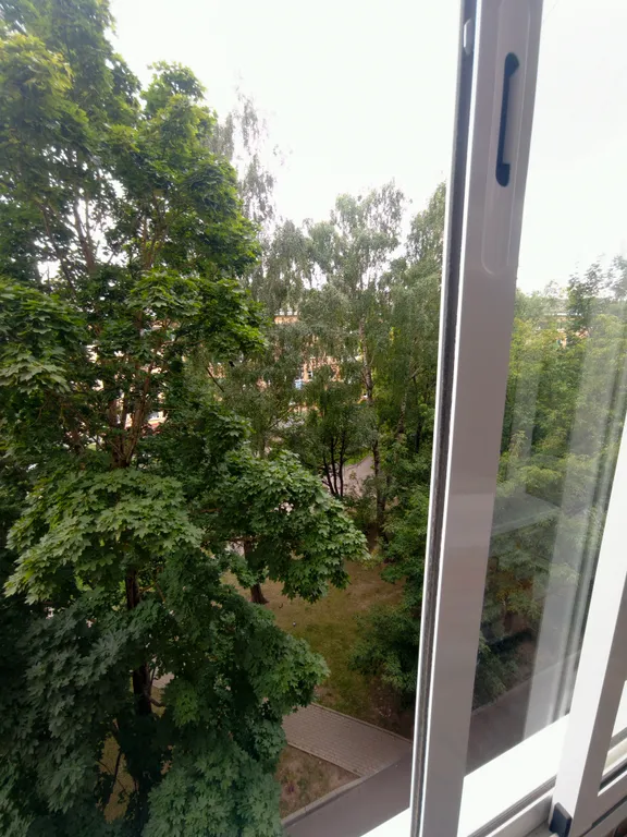 Квартира однокомнатная на проспекте Рижском, 31 м², Псков — вид из окна, фото 3