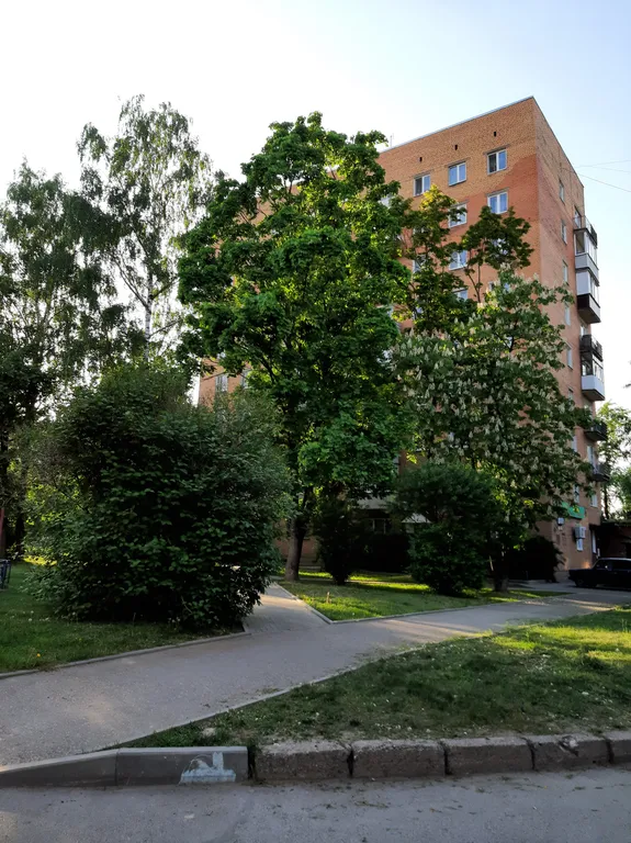 Квартира однокомнатная на проспекте Рижском, 31 м², Псков — двор