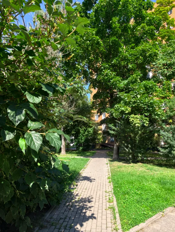 Квартира однокомнатная на проспекте Рижском, 31 м², Псков — двор, фото 3