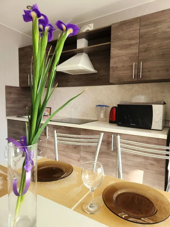 Квартира однокомнатная в Автозаводском, 46 м², Тольятти — фото 4