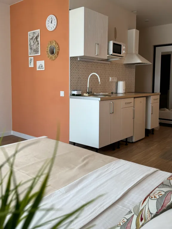 Студия однокомнатная на проспекте Солженицына, 25 м², Ростов-на-Дону — кухня