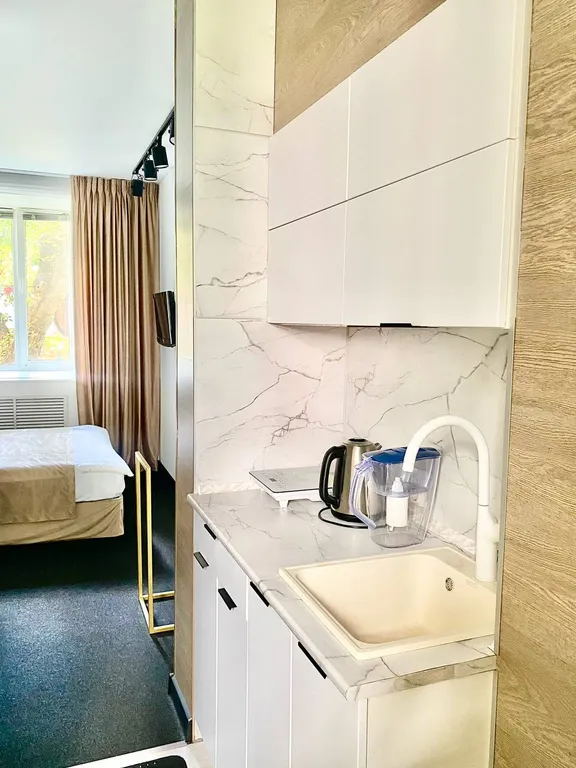 Апартаменты однокомнатные на улице Советской, 20 м², Ярославль — кухня