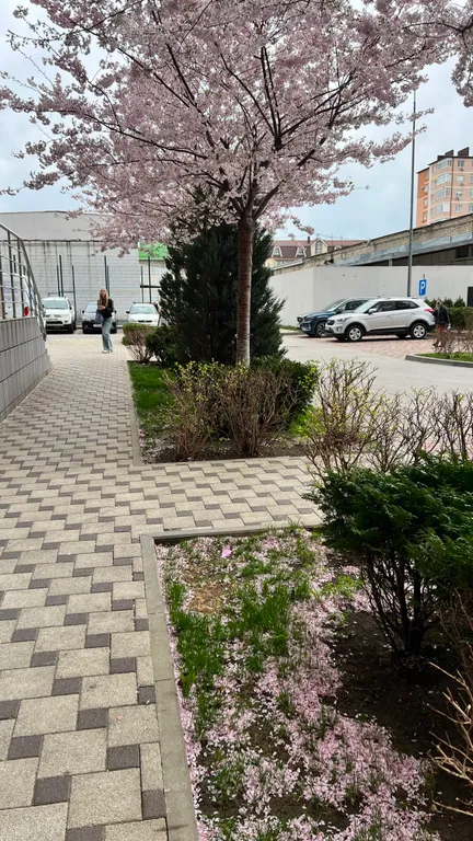 Студия однокомнатная на улице Толстого, 30 м², Анапа — фото 30