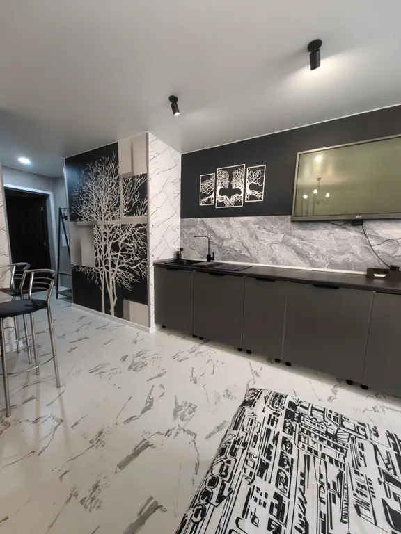 Студия однокомнатная в Октябрьском, 24 м², Новосибирск — кухня, фото 4