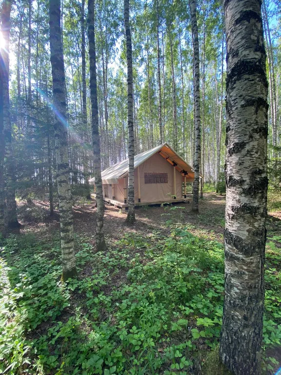 Фото отеля «Берег Грифона», 2