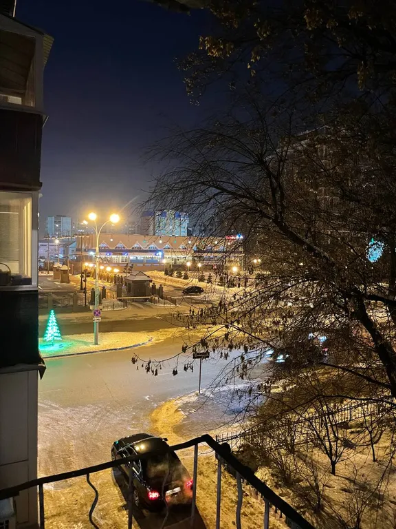 Квартира однокомнатная на улице Ленина, 30 м², Тюмень — вид из окна, фото 3
