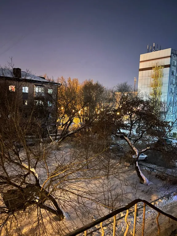Квартира однокомнатная на улице Ленина, 30 м², Тюмень — вид из окна