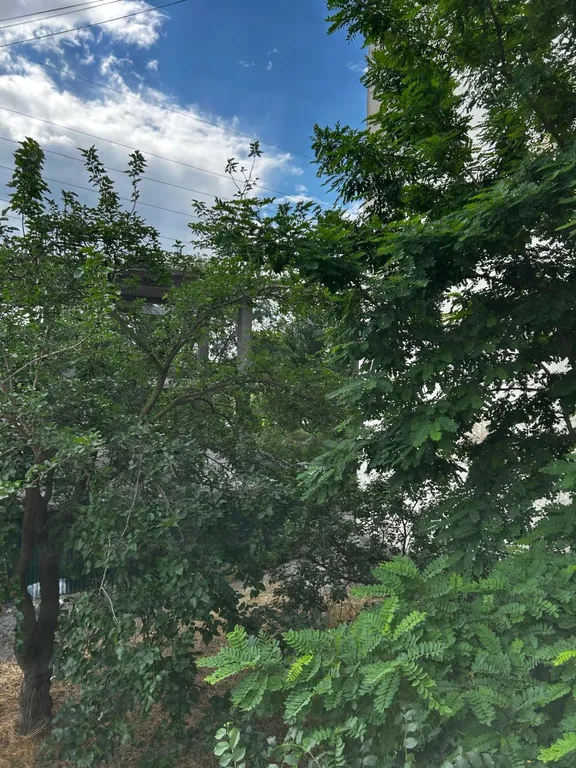 Квартира однокомнатная на улице Ленина, 40 м², Каспийск — фото 17