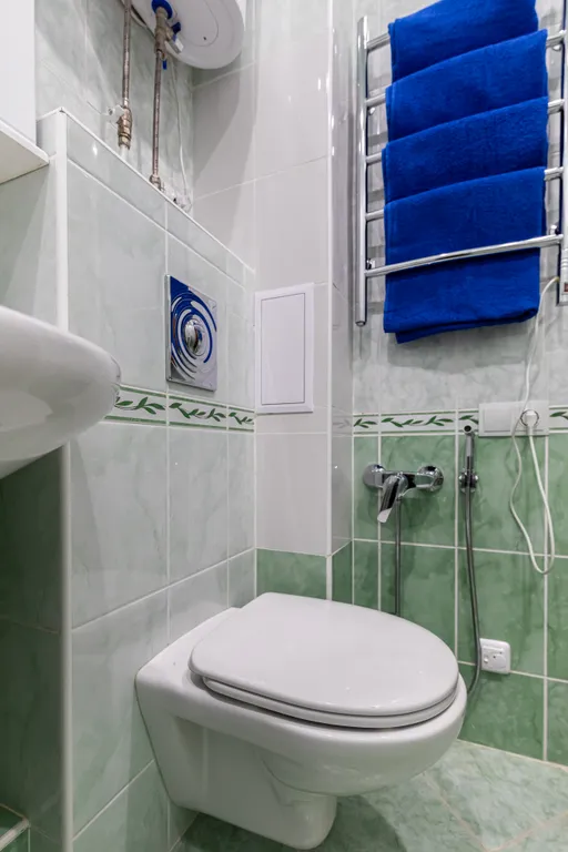 Квартира однокомнатная у Площади Габдуллы Тукая, в Вахитовском, 42 м², Казань — ванная комната, фото 5