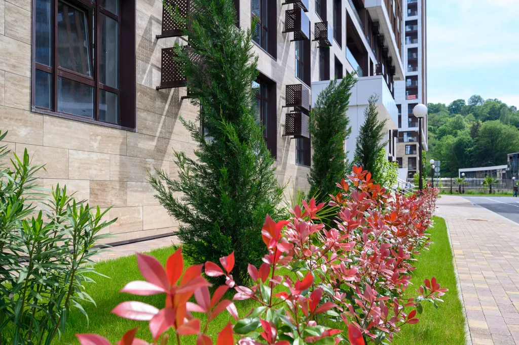 Квартира однокомнатная на шоссе Батумском, 30 м², Дагомыс — фото 39