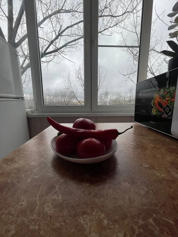 Квартира однокомнатная на улице Кучуры, 30 м², Пятигорск — кухня, фото 3