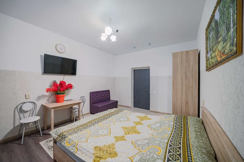 Двухместный номер с 1 кроватью улучшенный с видом на город