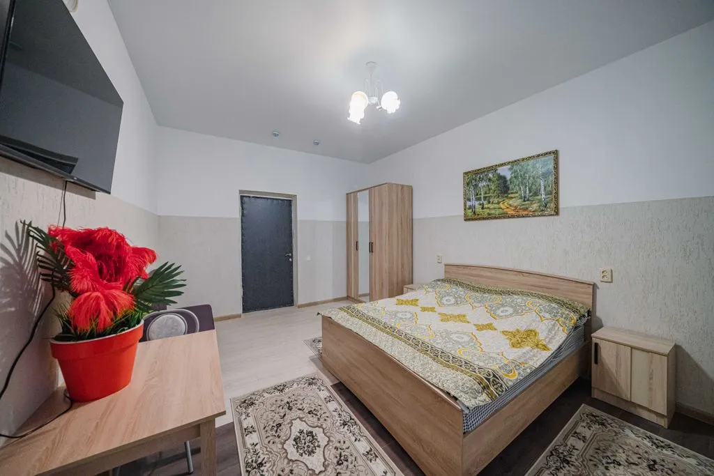 Двухместный номер с 1 кроватью улучшенный с видом на город