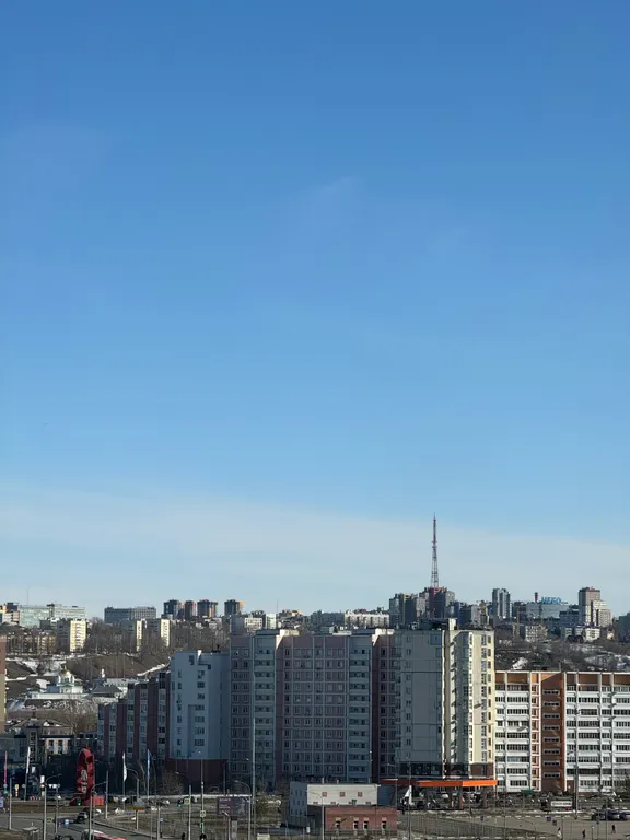 Квартира однокомнатная в Канавинском, 40 м², Нижний Новгород — вид из окна