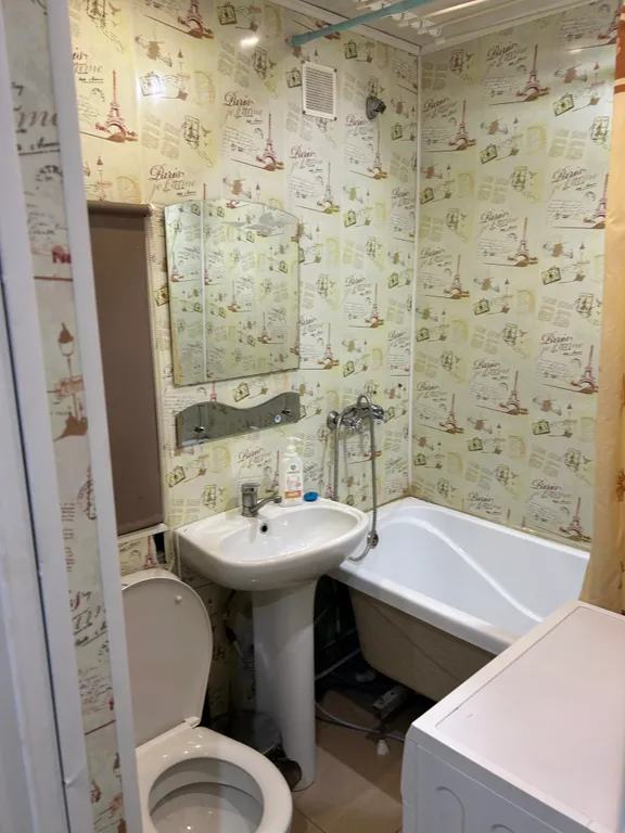 Квартира однокомнатная на улице Свердлова, 30 м², Шадринск — ванная комната, фото 2