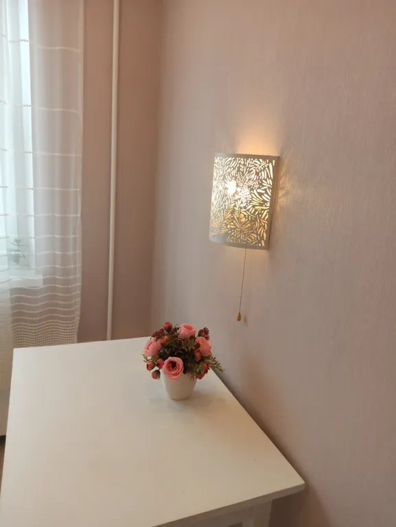 Апартаменты двухкомнатные на улице Героя Советского Союза Усилова, 40 м², Нижний Новгород — кухня, фото 5