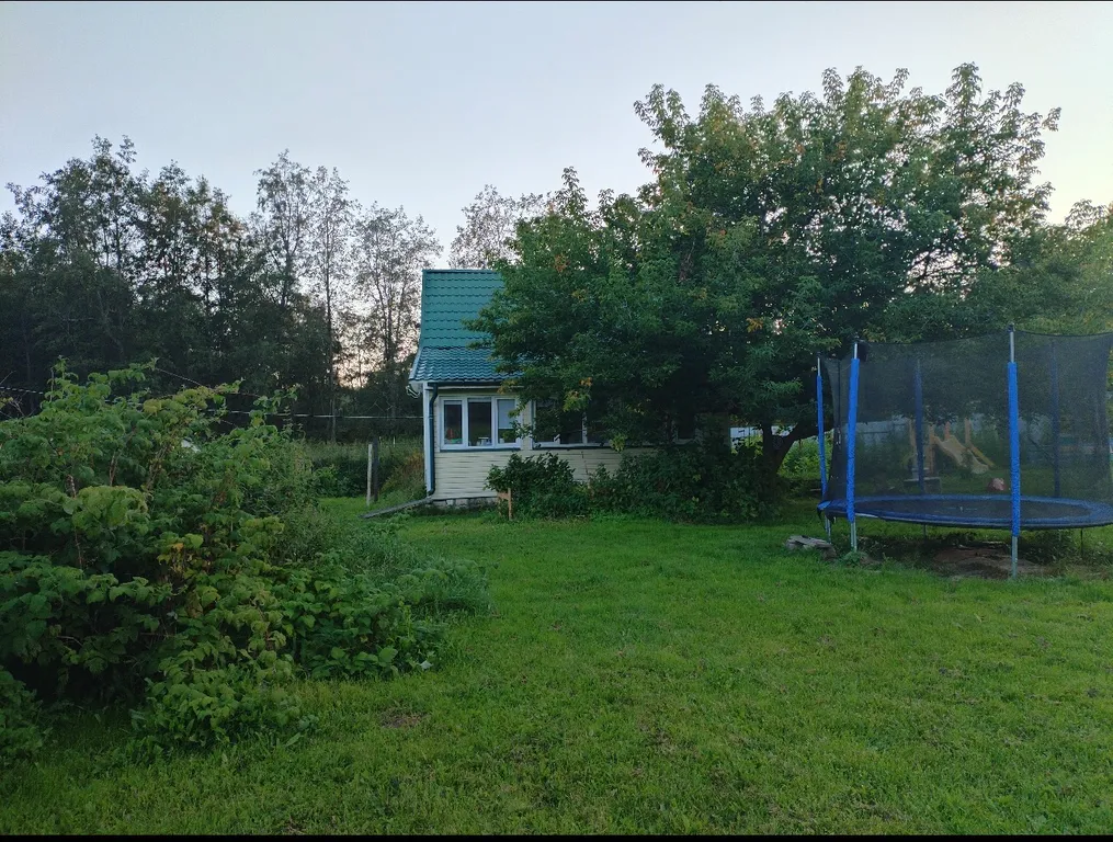 Выход из суеты - не дача Бобёр и Соловьи