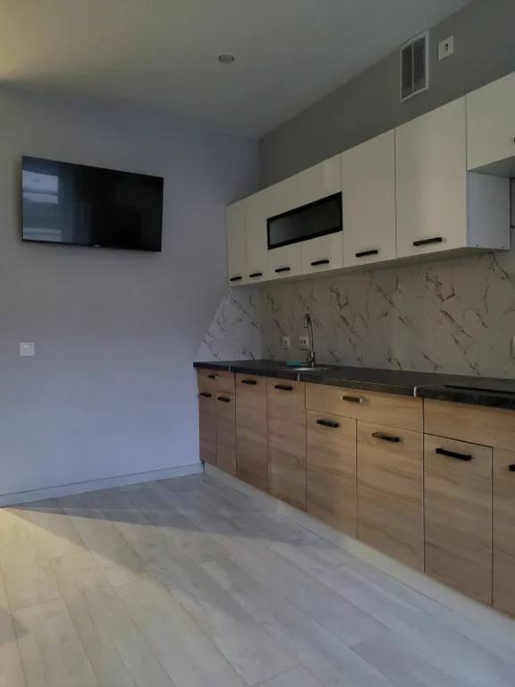 Квартира однокомнатная у Чкаловской, в Канавино, 42 м², Нижний Новгород — кухня, фото 3