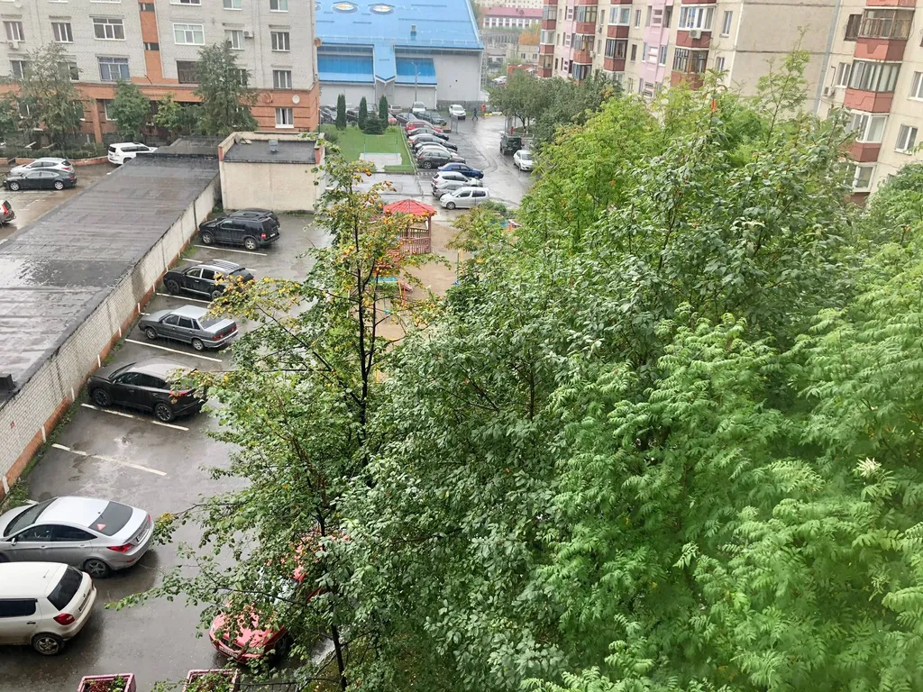 Квартира трёхкомнатная на улице Пржевальского, 89 м², Тюмень — вид из окна