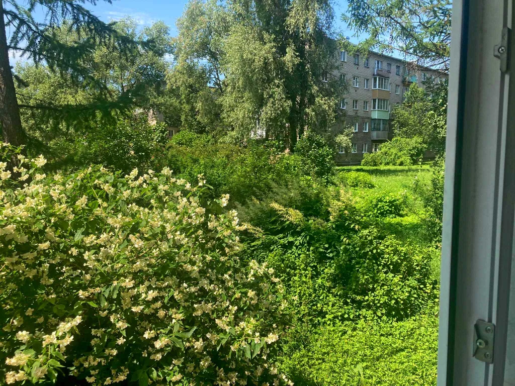 Квартира однокомнатная на улице Гостинодворской, 30 м², Старая Русса — вид из окна, фото 2