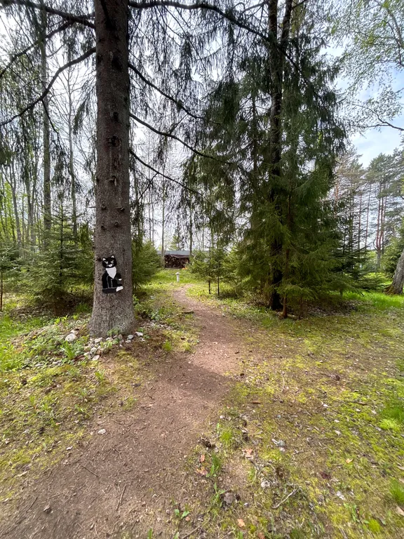 Коттедж 4-местный в деревни Подборовье-1, 60 м², Псков — двор, фото 6
