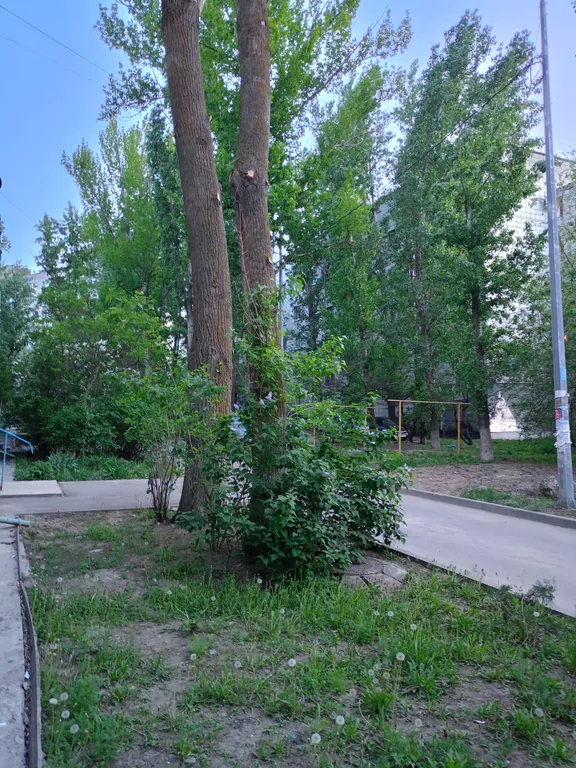 Квартира Сова