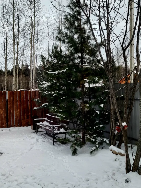 Уютный гостевой домик в черте города Заварзино