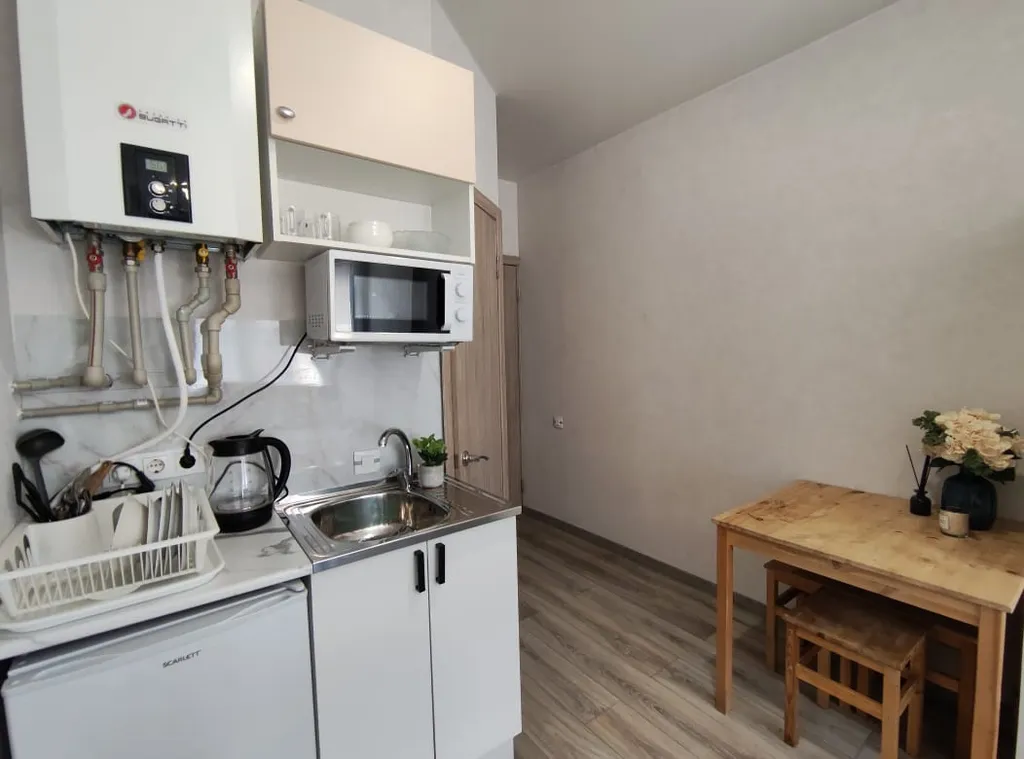 Студия однокомнатная на улице Урожайной, 22 м², Сириус — фото 4