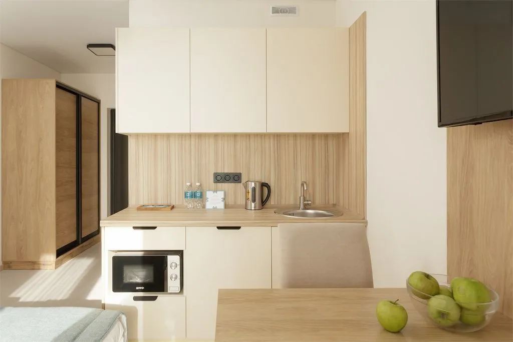 Апартаменты студия с видом на горы — Lavicon Apart, фото 4 из 5