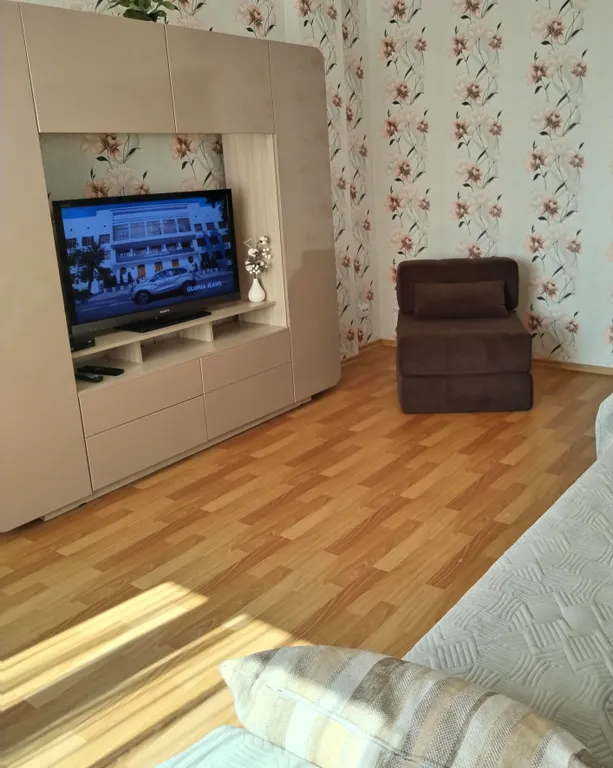 Квартира однокомнатная на улице Заслонова, 43 м², Великие Луки — фото 8