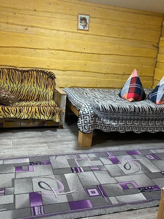 Чижик — номер