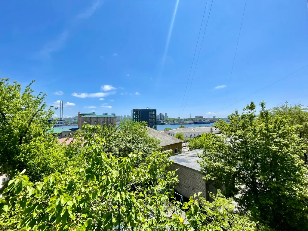 Квартира двухкомнатная в Фрунзенском, 45 м², Владивосток — вид из окна, фото 5