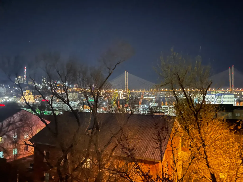 Квартира двухкомнатная в Фрунзенском, 45 м², Владивосток — вид из окна, фото 7