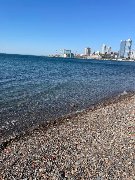Квартира двухкомнатная в Фрунзенском, 45 м², Владивосток — фото 39