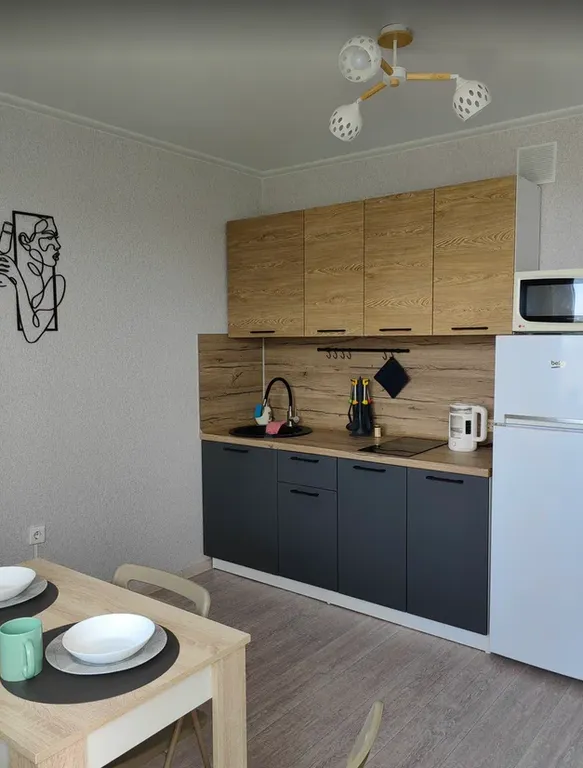 Квартира однокомнатная на улице Зеленоградской, 31 м², Краснодар — кухня, фото 3