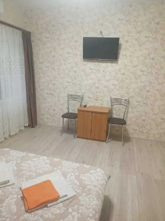 Двухместный номер с 1 кроватью однокомнатный Люкс с балконом — Фаина, фото 3 из 5