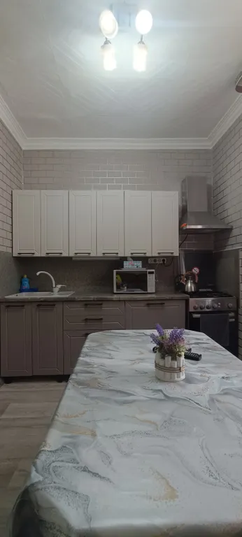 Квартира однокомнатная на улице Ленина, 25 м², Адлер — кухня