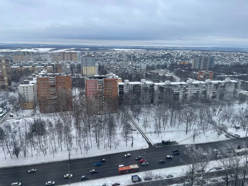 Студия однокомнатная в Советском, 30 м², Нижний Новгород — вид из окна
