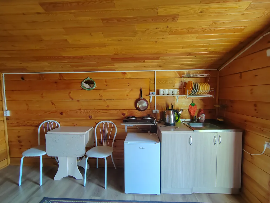 Дом 5-местный на улице Гудина, 16 м², Листвянка (Байкал) — кухня
