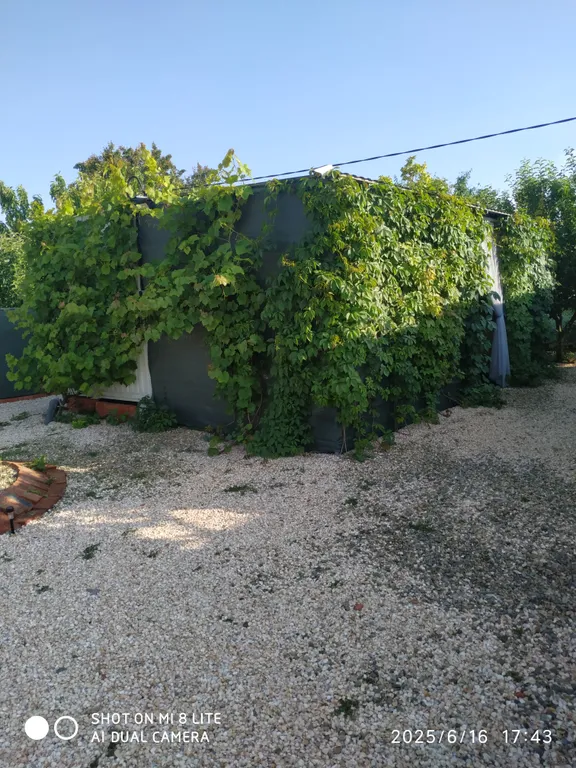 Дачный домик