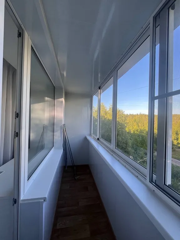 Квартира двухкомнатная на улице Рудакова, 46 м², Питкяранта — вид из окна