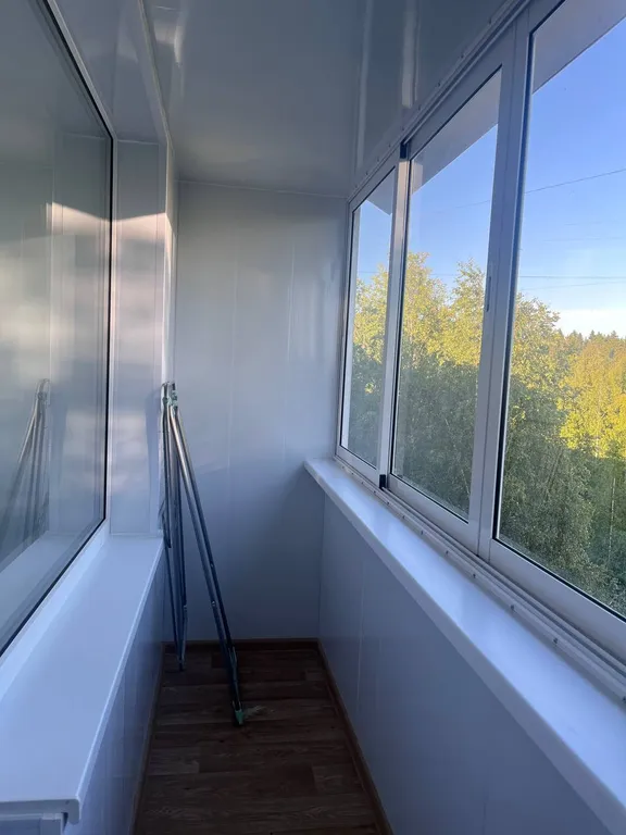 Квартира двухкомнатная на улице Рудакова, 46 м², Питкяранта — вид из окна, фото 2