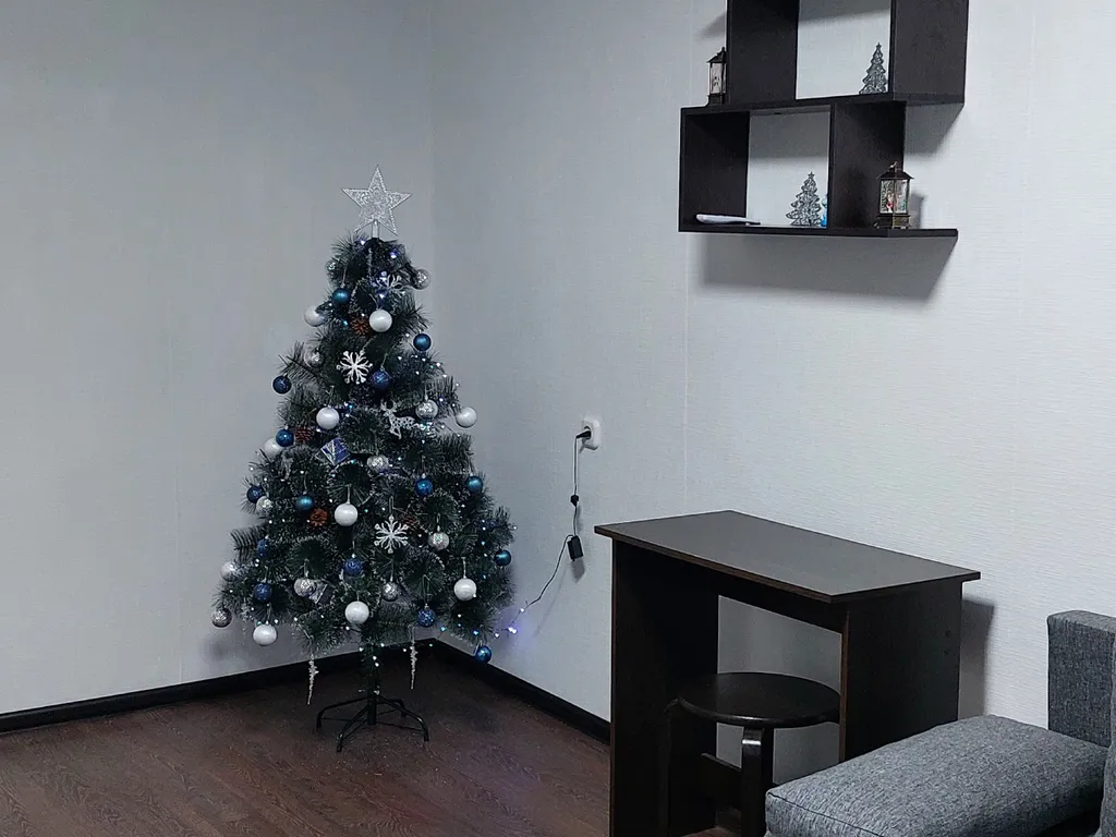 Квартира двухкомнатная на улице Рудакова, 46 м², Питкяранта — фото 17