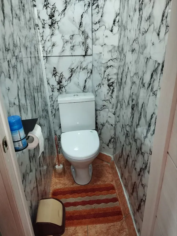 Квартира двухкомнатная в село Большом Болдино, 45 м², Арзамас — ванная комната