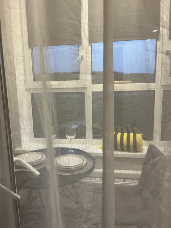 Студия однокомнатная в Ленинском, 25 м², Нижний Новгород — вид из окна, фото 3