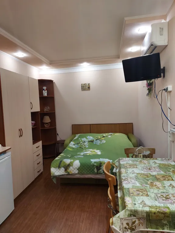 Квартира однокомнатная на проспекте Кирова, 16 м², Пятигорск — фото 4