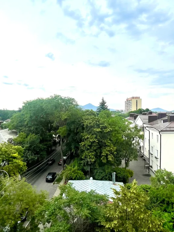 Квартира двухкомнатная на улице Интернациональной, 80 м², Ессентуки — фото 22