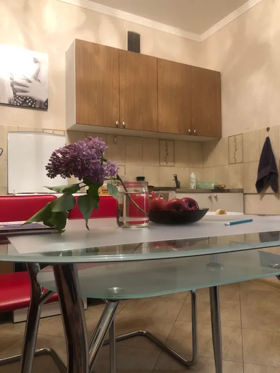 Квартира однокомнатная в Ново-Савиновском, 40 м², Казань — фото 4