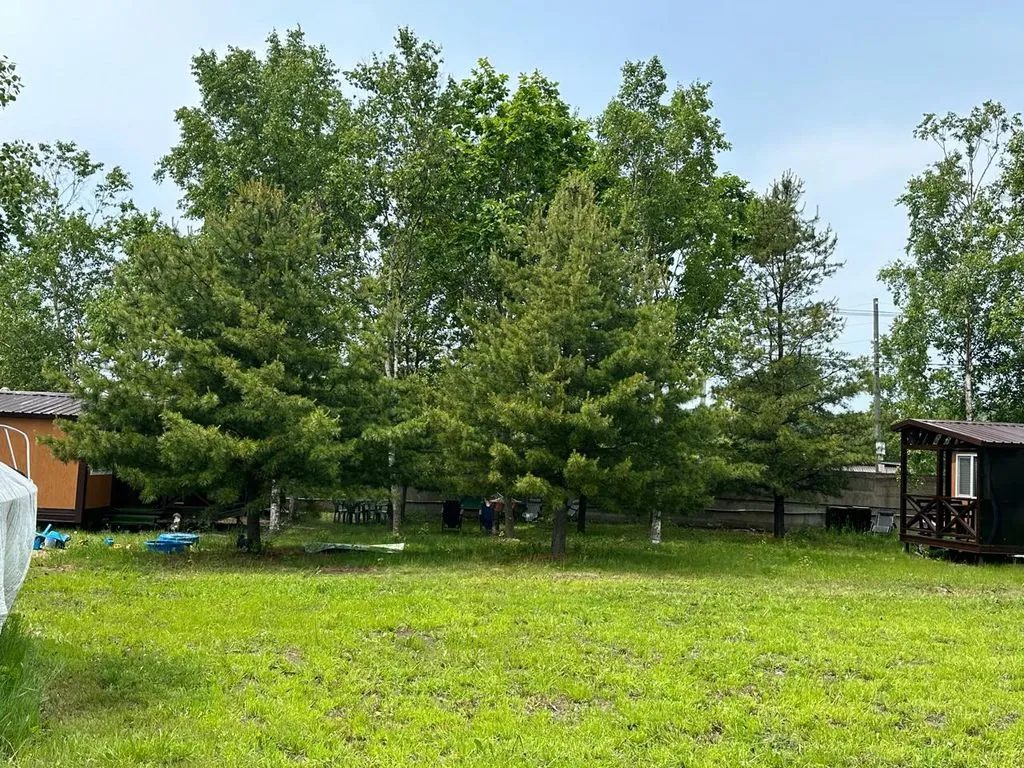 Четырёхместный номер летний домик со всеми удобствами