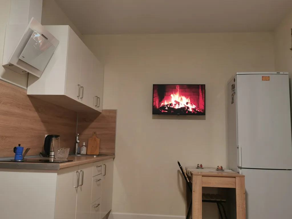 Студия однокомнатная на улице Академической, 24 м², Афонино — кухня, фото 4